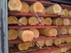 Вакуумные инфракрасные сушильные камеры EcoWood VIRK-5, VIRK-10 VIRK-5 — миниатюра 7